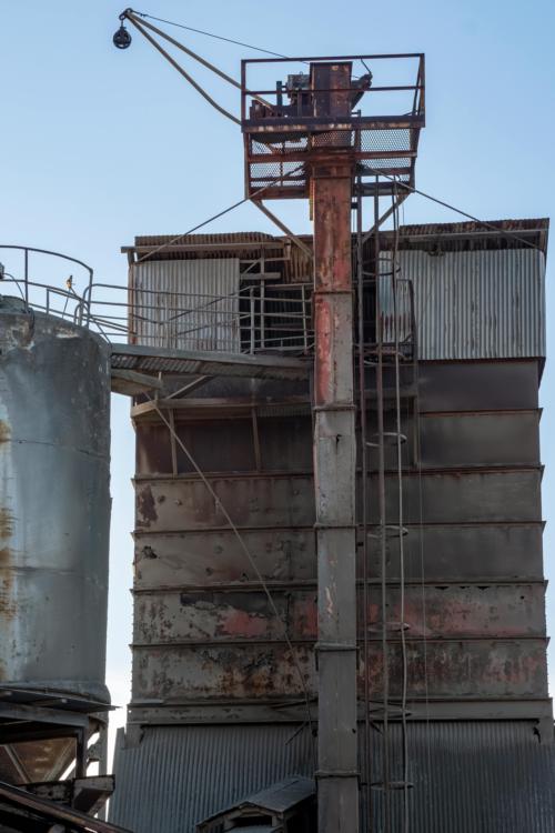 玉米和高粱的干燥应该选择连续干燥塔或批量循环干燥机