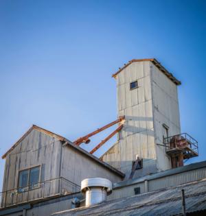 烘干塔烘干水稻的三个技巧